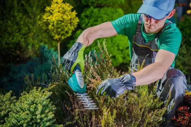 landscaping services Osborn